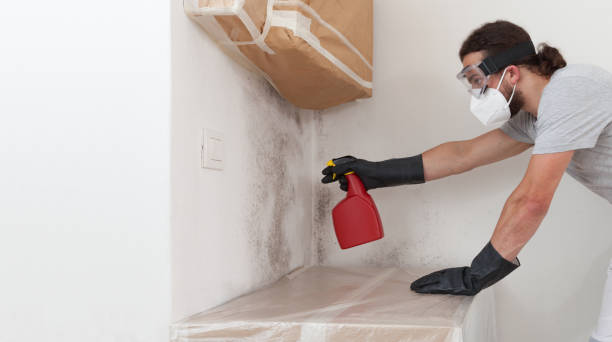 Professional Bathroom Mold Removal technician working in Suffolk, VA
