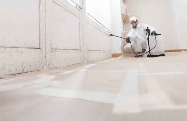 24/7 Emergency Bathroom Mold Removal experts in Suffolk, VA